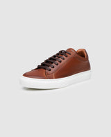 No. 120 MS - Chestnut Brown