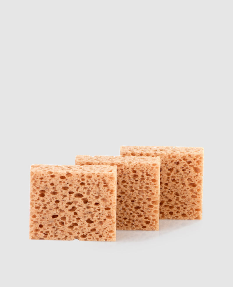 Shoe sponge