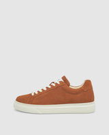 Travis S1 - Chestnut Brown